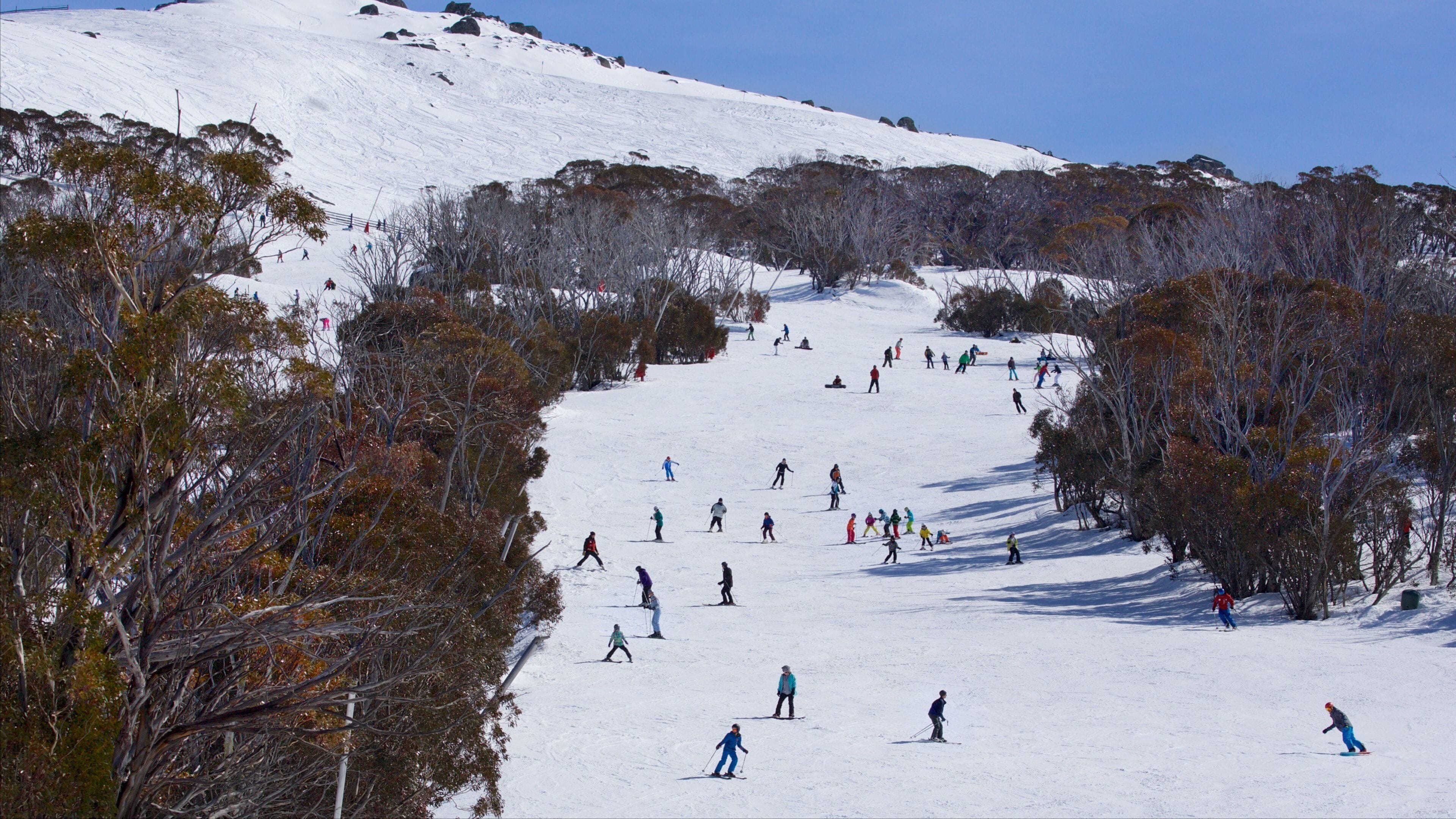 A snowy ski slope with skiers descending.