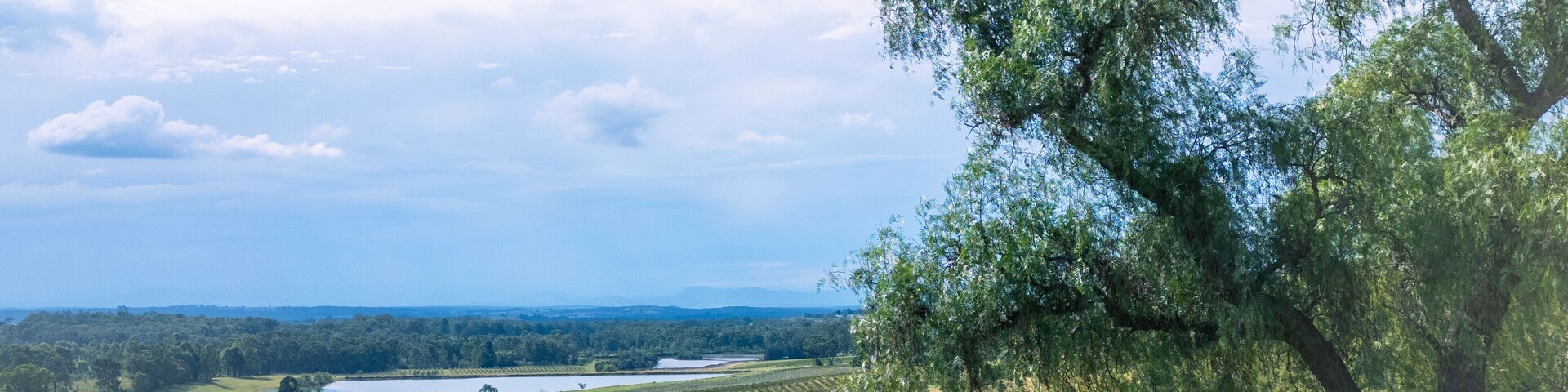 ドローンで上空から撮影したオーストラリアの田舎町、ハンターベリー