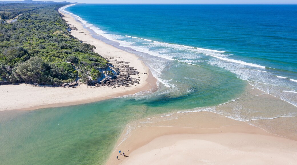 Wauchope