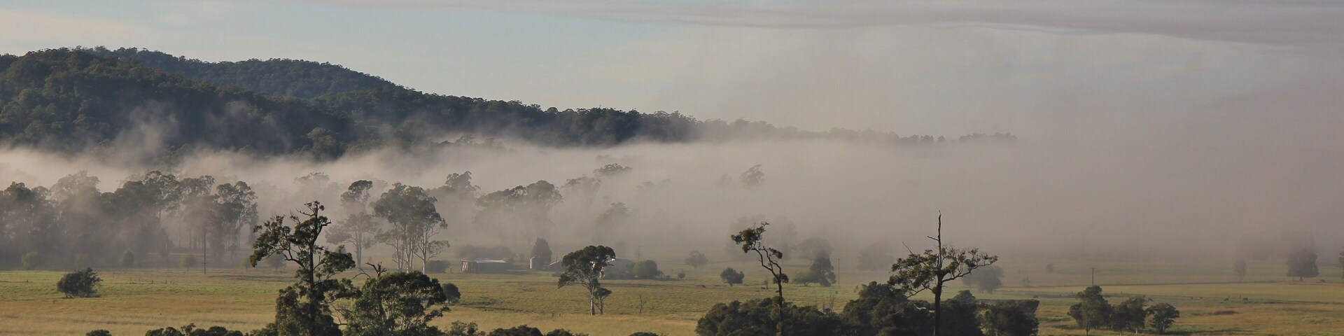 Fogy autumn morning in rural Australia