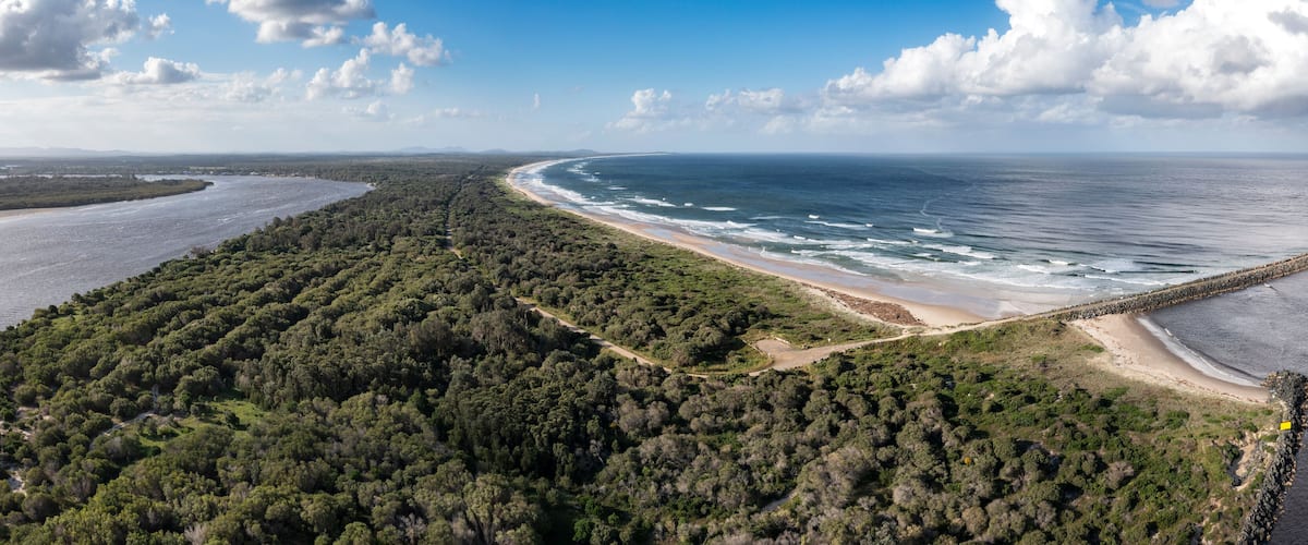 A coastal landscape with a beach, dense forest, and a curved coastline.