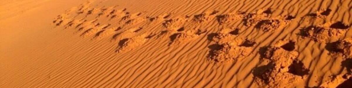 A little #desert in the middle of nowhere. Loved exploring the Perry Sandhills just outside of #mildure in western New South Wales. #australia #sand #dunes #nsw