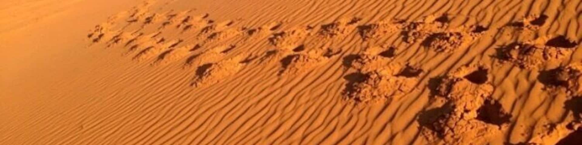 A little #desert in the middle of nowhere. Loved exploring the Perry Sandhills just outside of #mildure in western New South Wales. #australia #sand #dunes #nsw