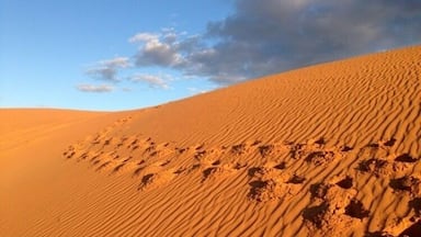 温特沃思