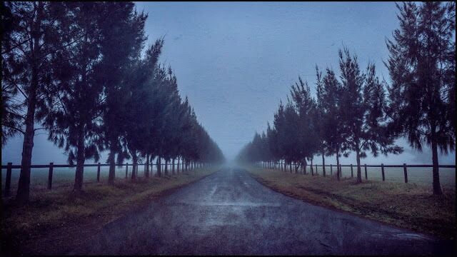 Windsor has some amazing fog filled morning's in winter just like this one.