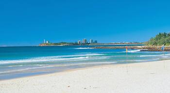 Alexandra Headland which includes a beach