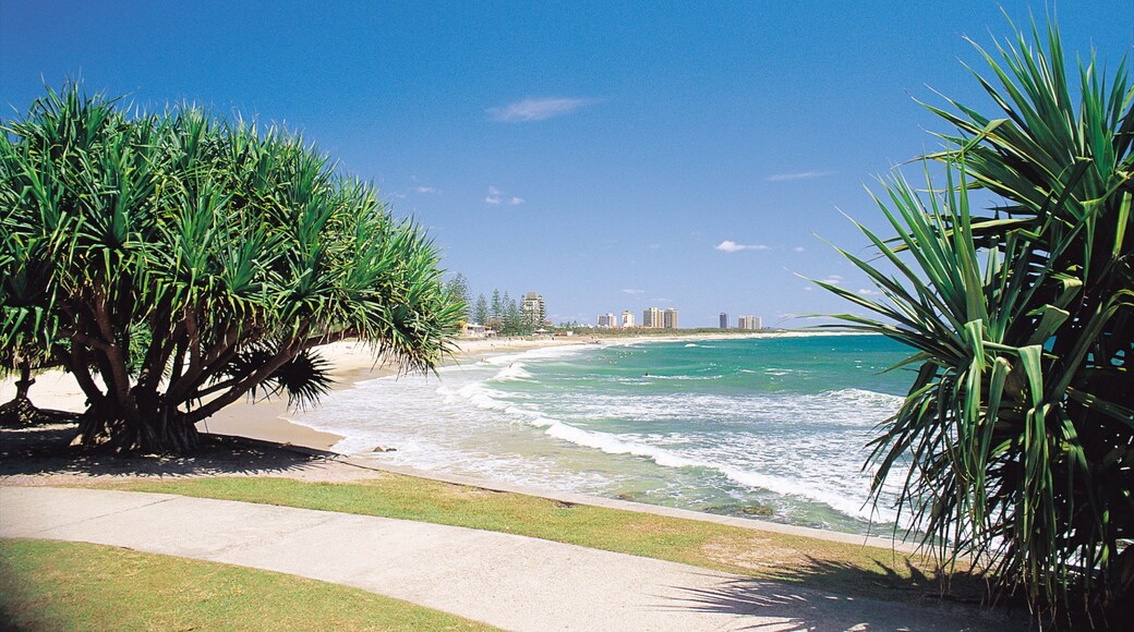 Alexandra Headland which includes a sandy beach