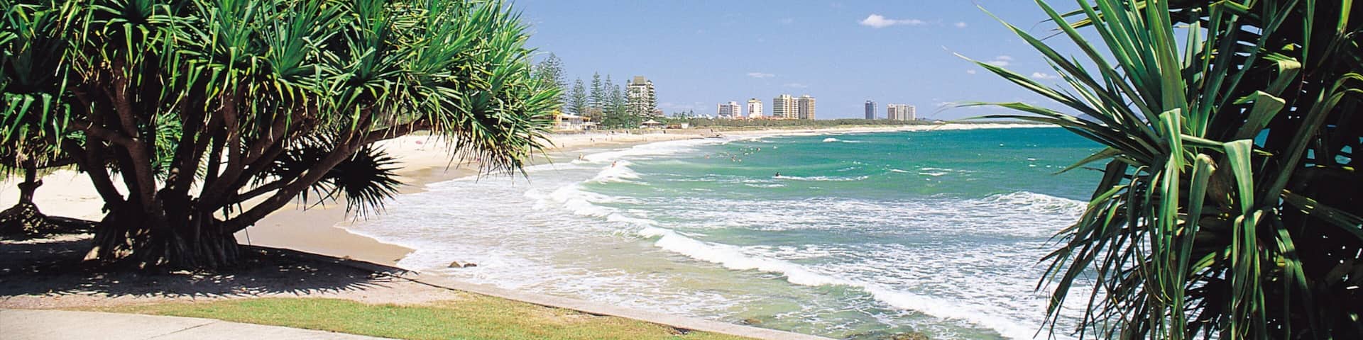 A beach with palm trees, ocean waves, and buildings in the distance.