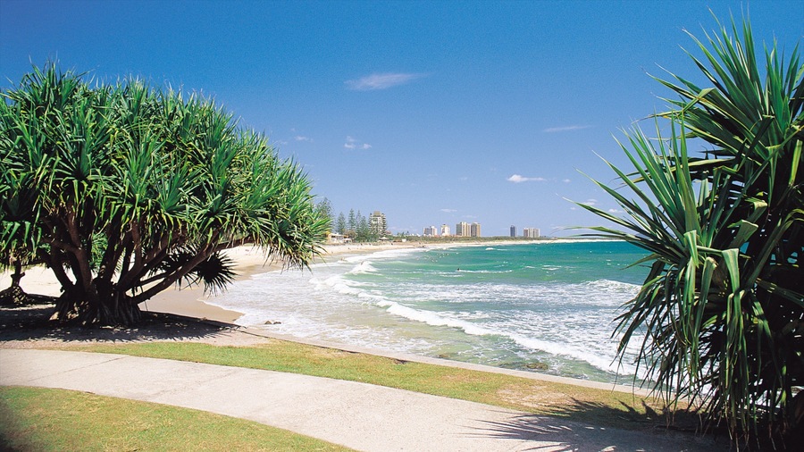 A beach with palm trees, ocean waves, and buildings in the distance.