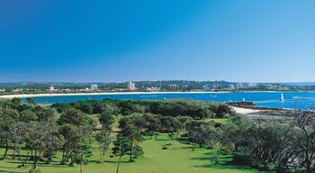 Alexandra Headland which includes a coastal town, landscape views and general coastal views