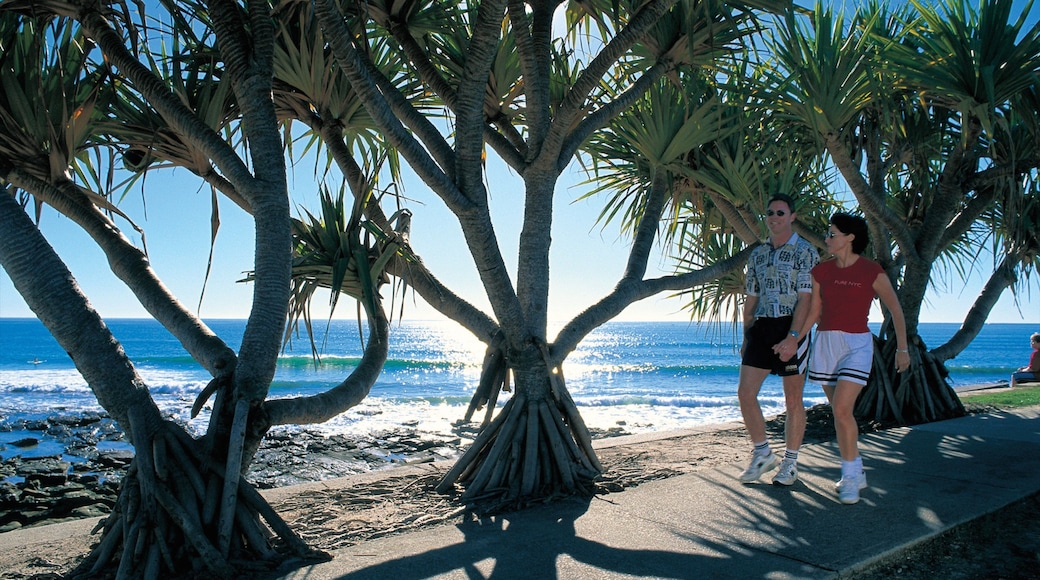 Alexandra Headland showing rocky coastline and hiking or walking as well as a couple