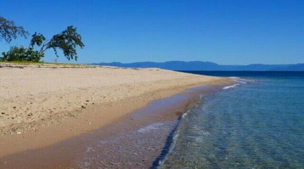 Bedarra Island is home to a luxury resort where you can stay for $2,000 a night....OR you could pay $50 for a half day trip with Fozyy's and snorkel from the beach with dugongs and turtles, getting to pretend you're an A-lister for the day! #waterlust
http://www.missionbeachwatertaxi.com/tour