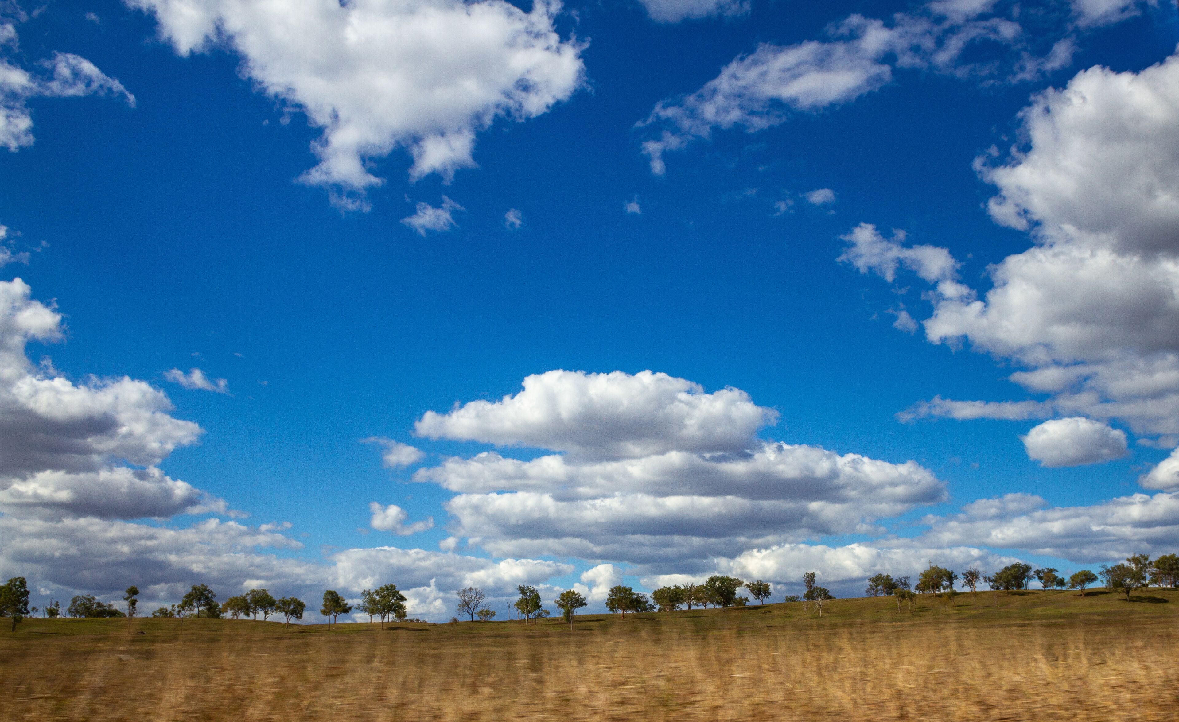 Landscape with large amount of blue sky and clouds with trees on sloping hill. Grass in the foreground. Near Biloela, Queensland, Australia.