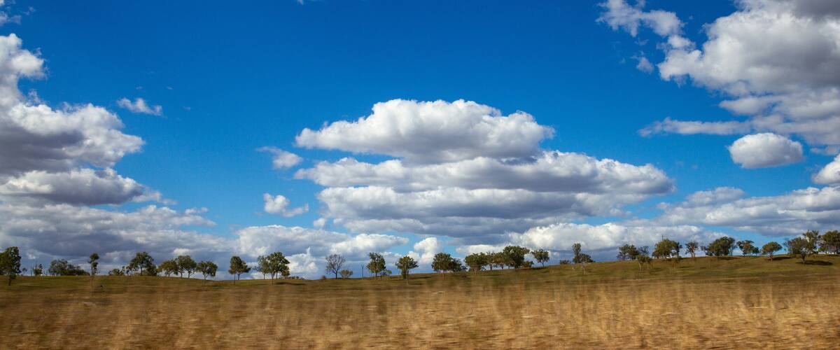 Landscape with large amount of blue sky and clouds with trees on sloping hill. Grass in the foreground. Near Biloela, Queensland, Australia.