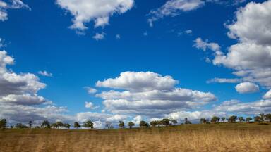 Landscape with large amount of blue sky and clouds with trees on sloping hill. Grass in the foreground. Near Biloela, Queensland, Australia.