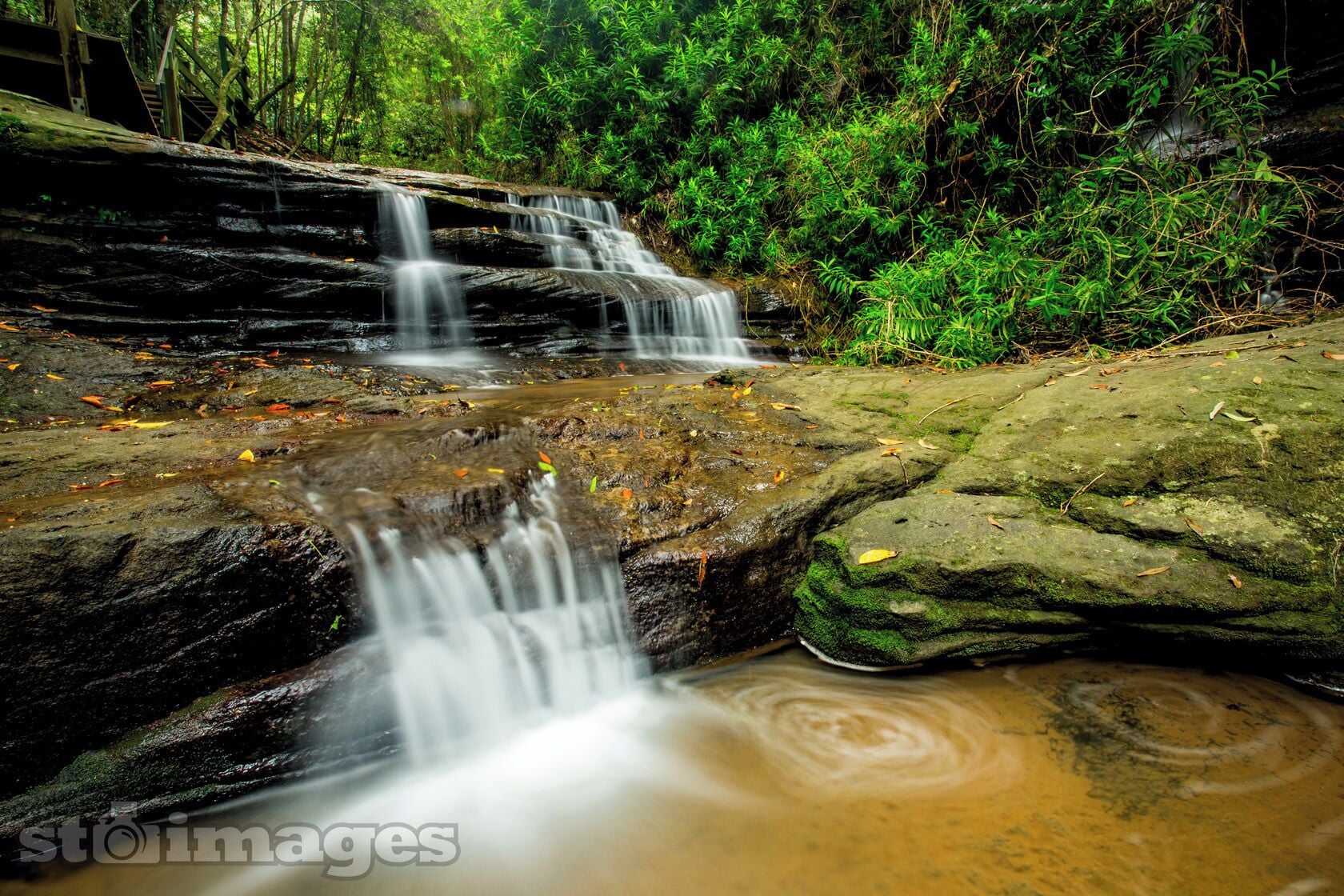 Exquisite cascades in the Buderim Forest. Spent the entire morning in this natural wonderland