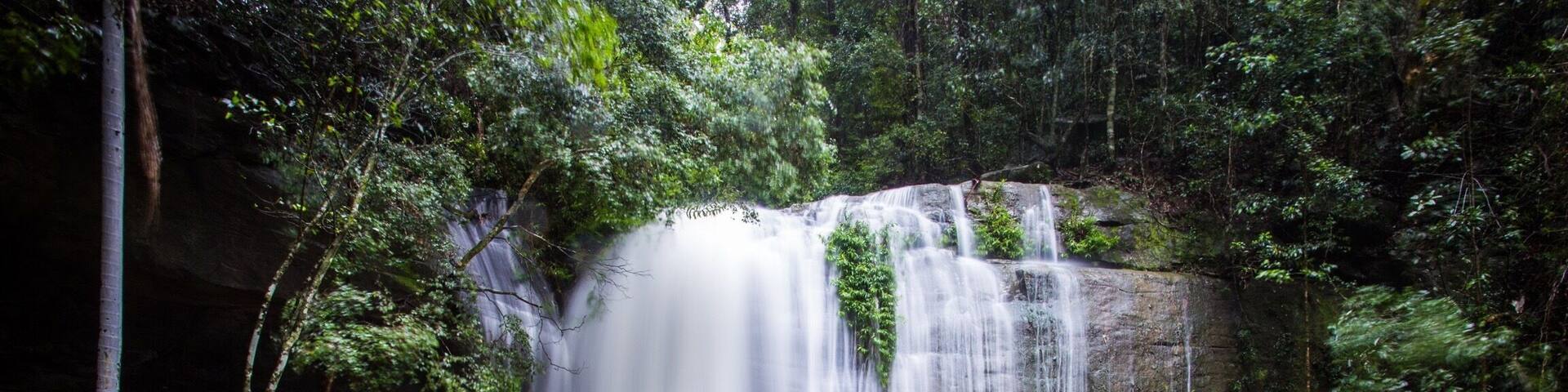 Serenity Falls or Buderim Falls in full flow after rain. Enjoy a comfortable hike through the rainforest and stop at the popular waterfall. Many people swim in the waterhole here and a little further downstream.
#takeahike