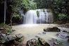 Una cascada fluye sobre rocas en un área boscosa.