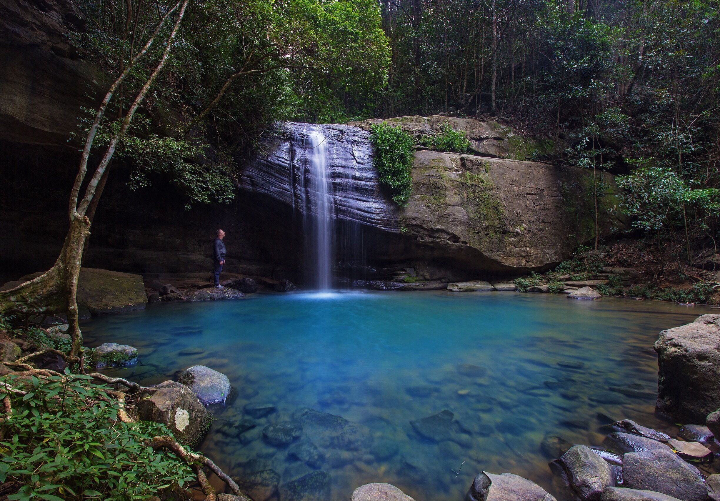 Those Sunshine Coast waterfalls! 💦🌳 #visitsunshinecoast #thisisqueensland #seeaustralia 