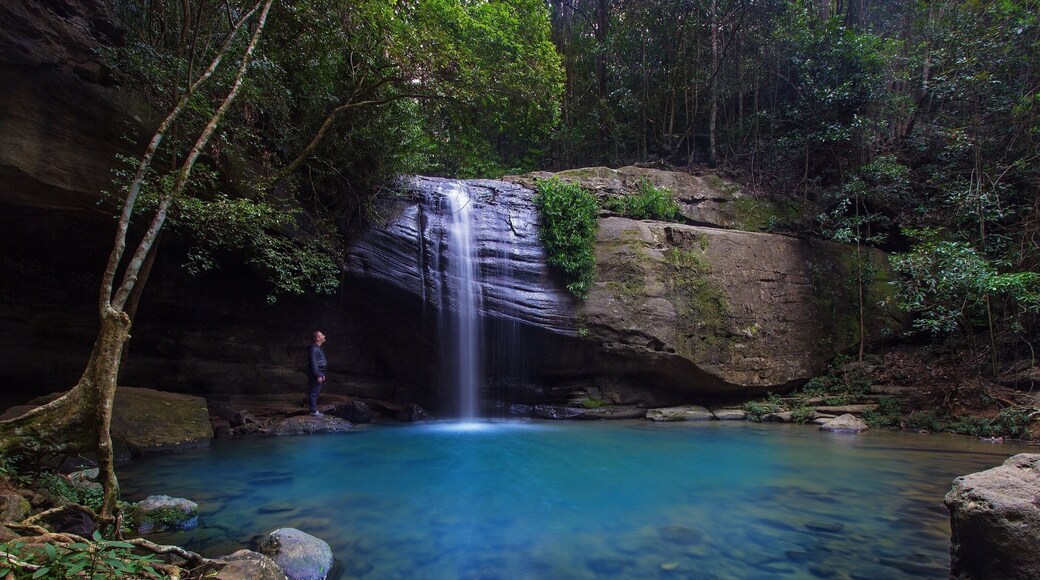 Those Sunshine Coast waterfalls! 💦🌳 #visitsunshinecoast #thisisqueensland #seeaustralia
