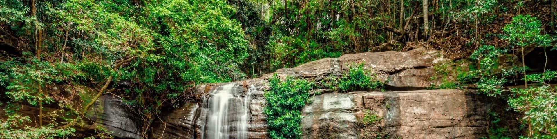 Tucked away near the township of Buderim in the Sunshine Coast of Queensland, Australia, is a nature reserve and falls. With the area once being private land, it is now available for all to meander by The creek, take a hike, have a picnic or even a splash in the rock pools. A great way to spend your time whilst visiting the area. #green #challenge #sweepstakes #australia