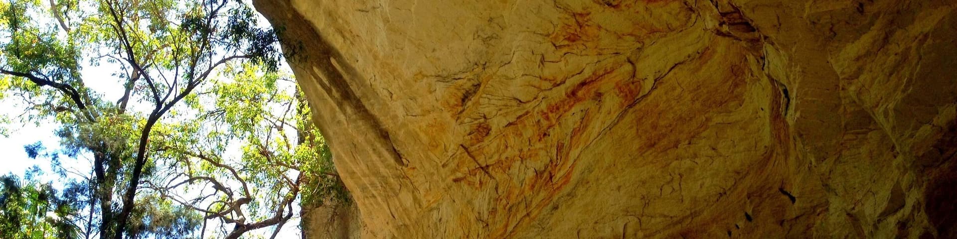 Cathedral Cave at Carnarvon Gorge, is approximately 10km into the gorge. We did a 25km hike with the kids, a long hike but totally worth it. Carnarvon Gorge is in Central Queensland, is approximately 30km long and was primarily created by water erosion. #weekendgetaway #hiking #nationalpark #nature