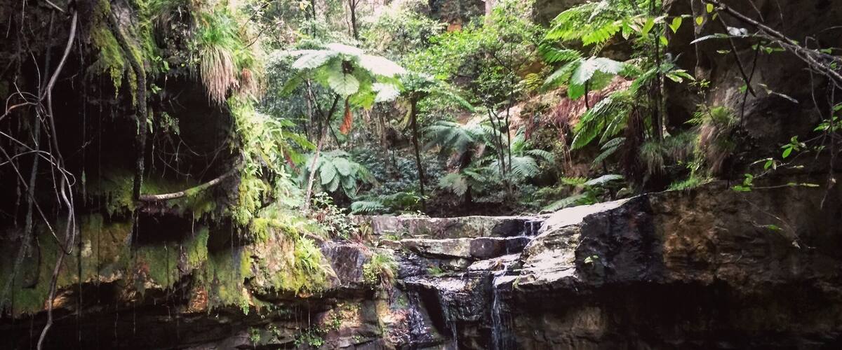 A natural waterfall in a forested area with moss-covered rocks and ferns.