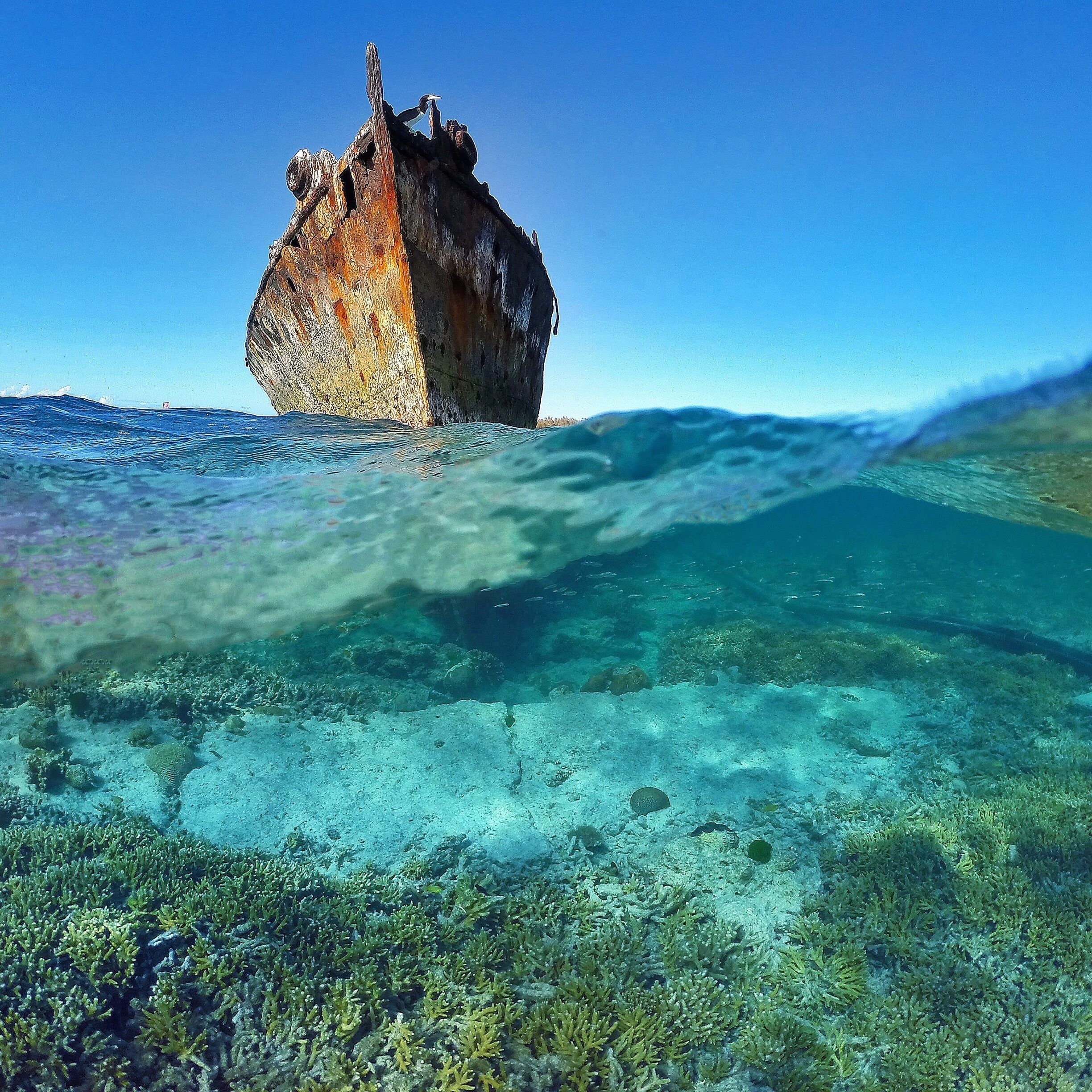 Couldn't imagine a better place to get shipwrecked than @heronisland! Have an awesome weekend! ☀️🐟🐠🌴😀
#GoProANZ #visitgladstone #southerngreatbarrierreef #thisisqueensland #seeaustralia 