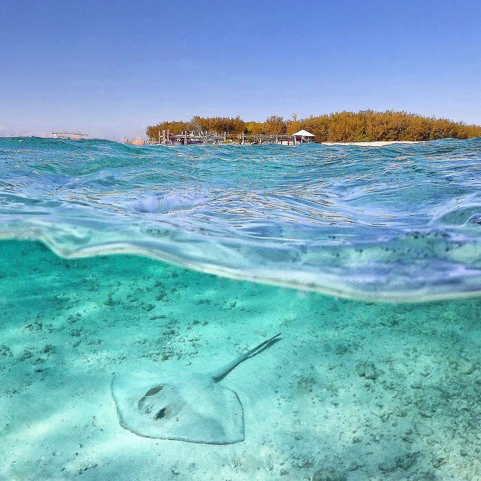 Mar turquesa cristalina con una raya en el fondo arenoso y una pequeña isla con una estructura de madera al fondo.