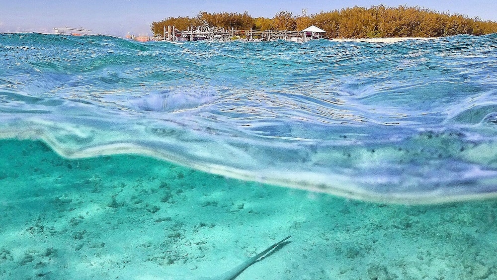 A clear turquoise sea with a stingray on the sandy bottom and a small island with a wooden structure in the background.