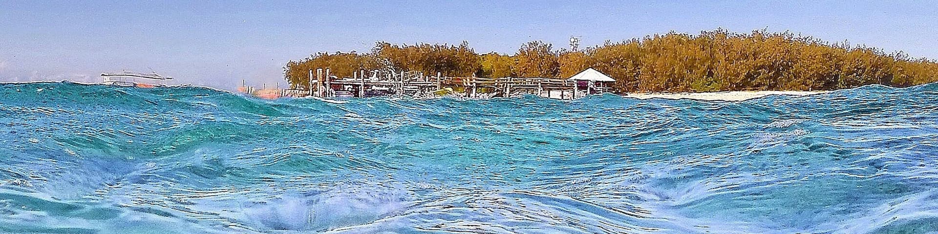 A clear turquoise sea with a stingray on the sandy bottom and a small island with a wooden structure in the background.