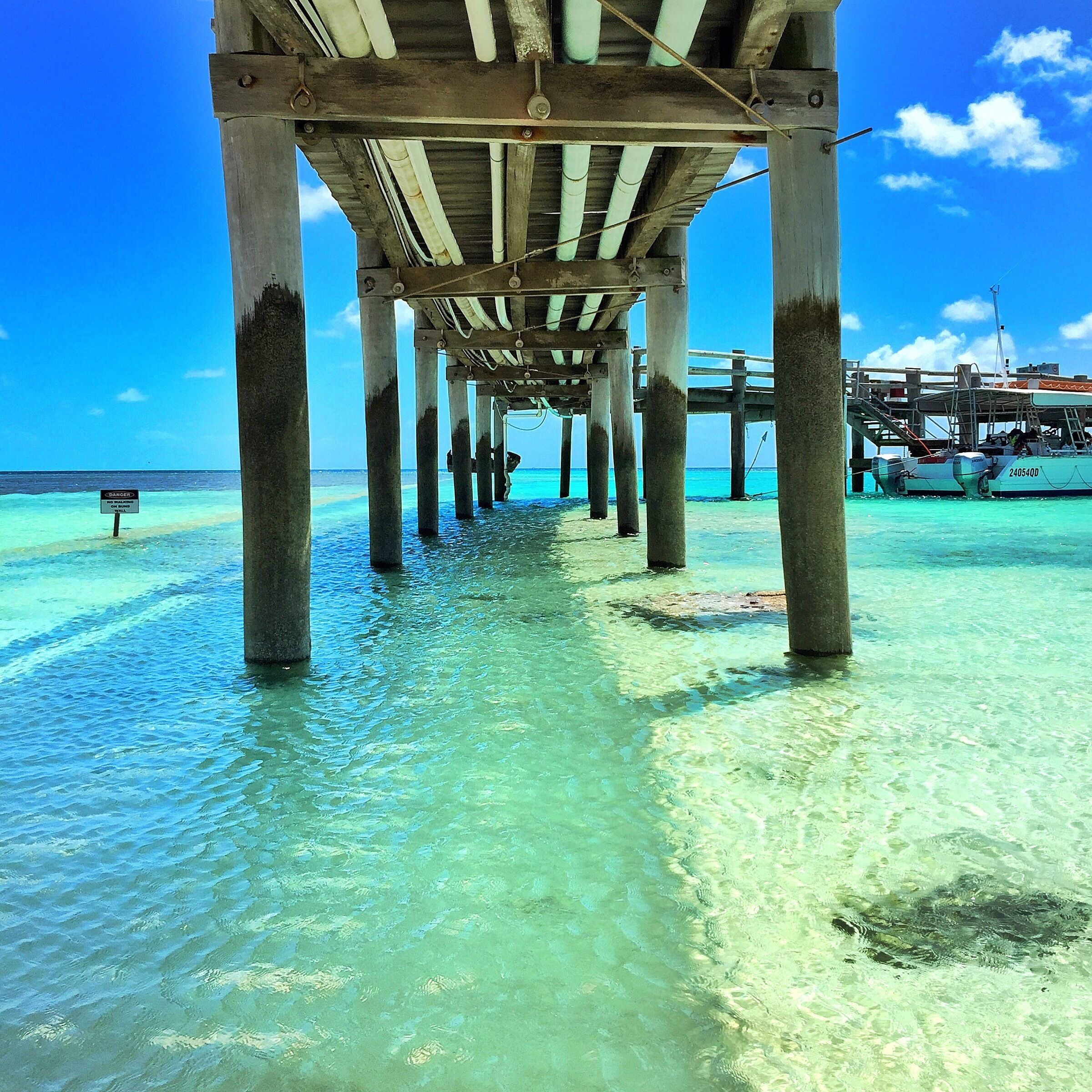 The perfect spot for an afternoon swim, the Heron Island jetty! 😀