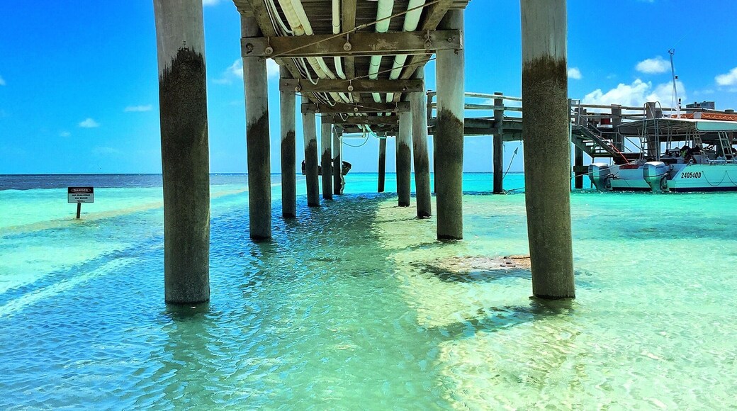 The perfect spot for an afternoon swim, the Heron Island jetty! 😀