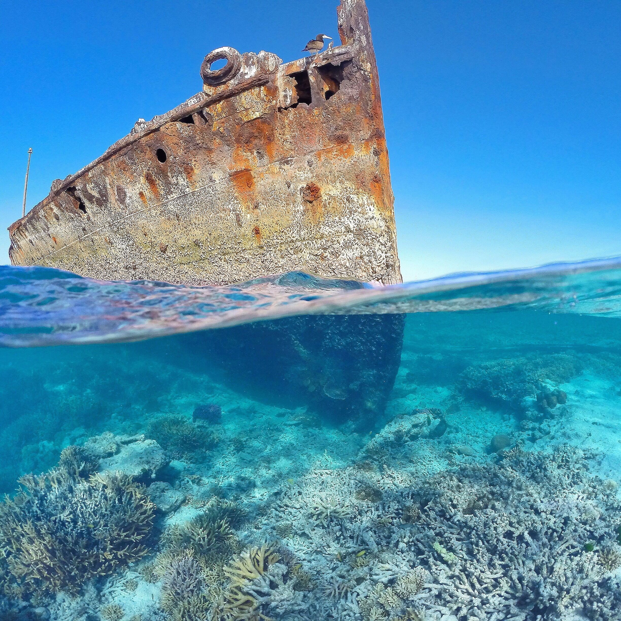 Shipwrecked on the @southerngreatbarrierreef. ☀️🐠🐟🌴😀
#GoProANZ #southerngreatbarrierreef #thisisqueensland #seeaustralia