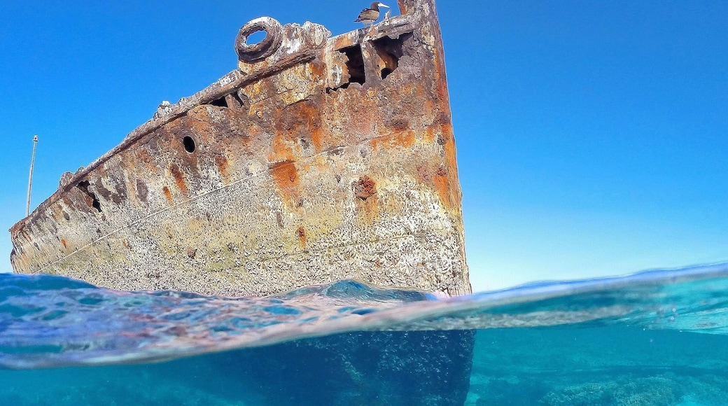 Shipwrecked on the @southerngreatbarrierreef. âïžđ đđŽđ
#GoProANZ #southerngreatbarrierreef #thisisqueensland #seeaustralia
