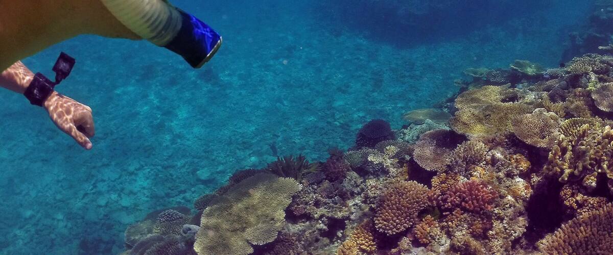 Checking out the amazing "Blue Pools" dive site just off @heronisland with my trusty @kapitolreef snorkelling gear and @goproanz #HERO4Session! ☀️🐢🐠🐟🌴😀
#heronisland #GoProANZ #kapitolreef #visitgladstone #southerngreatbarrierreef #thisisqueensland #seeaustralia