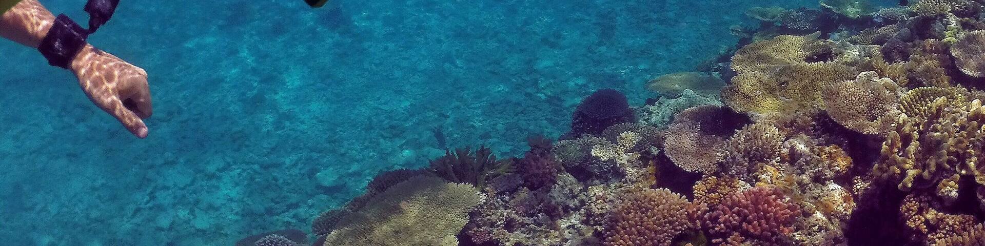 Checking out the amazing "Blue Pools" dive site just off @heronisland with my trusty @kapitolreef snorkelling gear and @goproanz #HERO4Session! ☀️🐢🐠🐟🌴😀
#heronisland #GoProANZ #kapitolreef #visitgladstone #southerngreatbarrierreef #thisisqueensland #seeaustralia