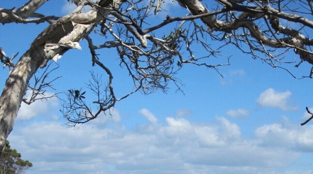 A very pretty beach in Queensland, and one that you can actually swim in!
#NationalPark