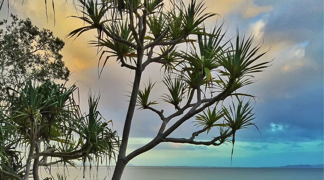 So many great little beaches you can have all to yourself in the Noosa National Park! đ
đŽđ đđ
#SeahavenNoosa @seahavennoosa #visitnoosa #visitsunshinecoast #thisisqueensland #seeaustralia