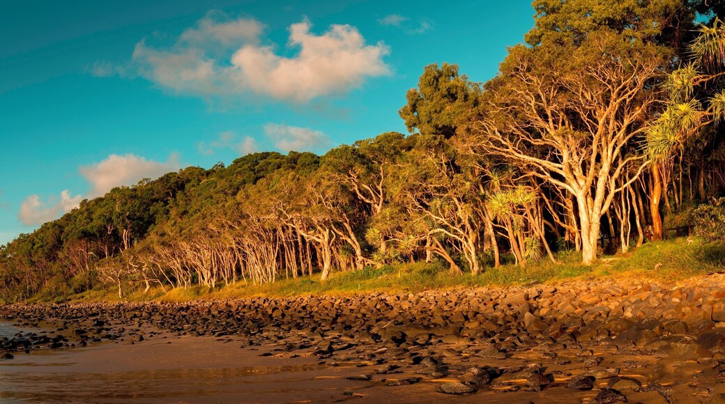 What an amazing location to watch the sun go down, an easy walk along a well kept park will bring to Tea Tree Bay, a classically curved beach loved by surfers for its safe but surf-able waves and its easy access. It gets its name from the Tea trees that ring the beach. Great location for photography but you will be sharing the location with surfers