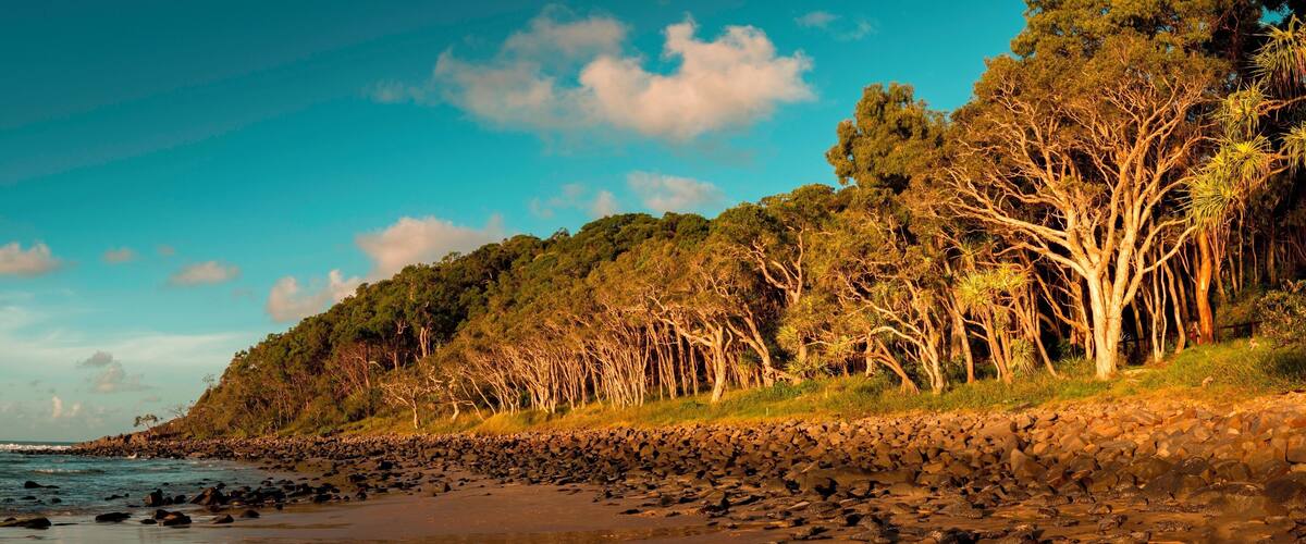 What an amazing location to watch the sun go down, an easy walk along a well kept park will bring to Tea Tree Bay, a classically curved beach loved by surfers for its safe but surf-able waves and its easy access. It gets its name from the Tea trees that ring the beach. Great location for photography but you will be sharing the location with surfers