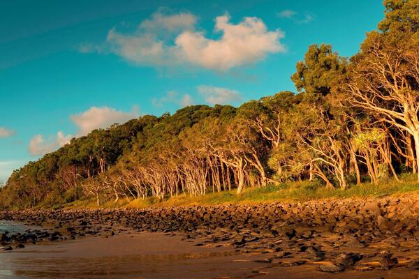 What an amazing location to watch the sun go down, an easy walk along a well kept park will bring to Tea Tree Bay, a classically curved beach loved by surfers for its safe but surf-able waves and its easy access. It gets its name from the Tea trees that ring the beach. Great location for photography but you will be sharing the location with surfers