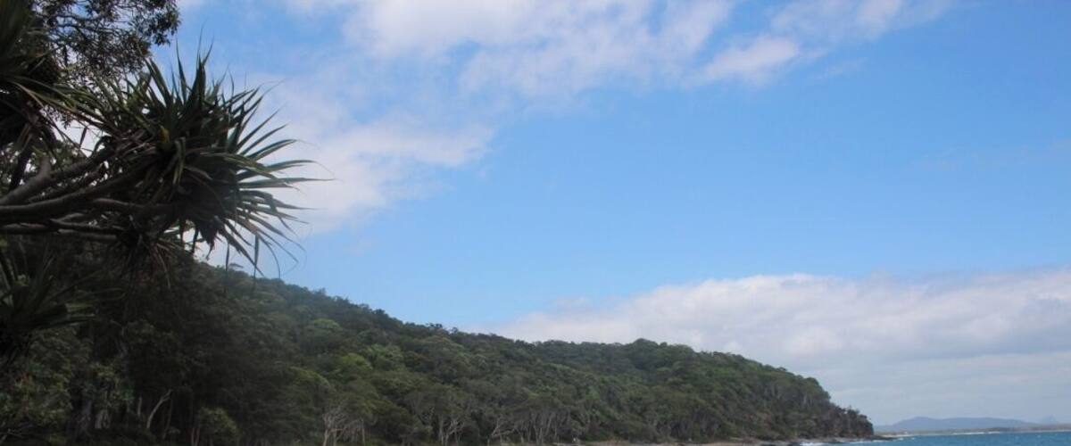 Noosa is truly a spot that I felt connected too. I celebrated my 21st birthday hiking through Noosa National Park. I had seen hundreds of stunning shots, so to experience it myself was such a treat. I sat here for a good while soaking it all in.