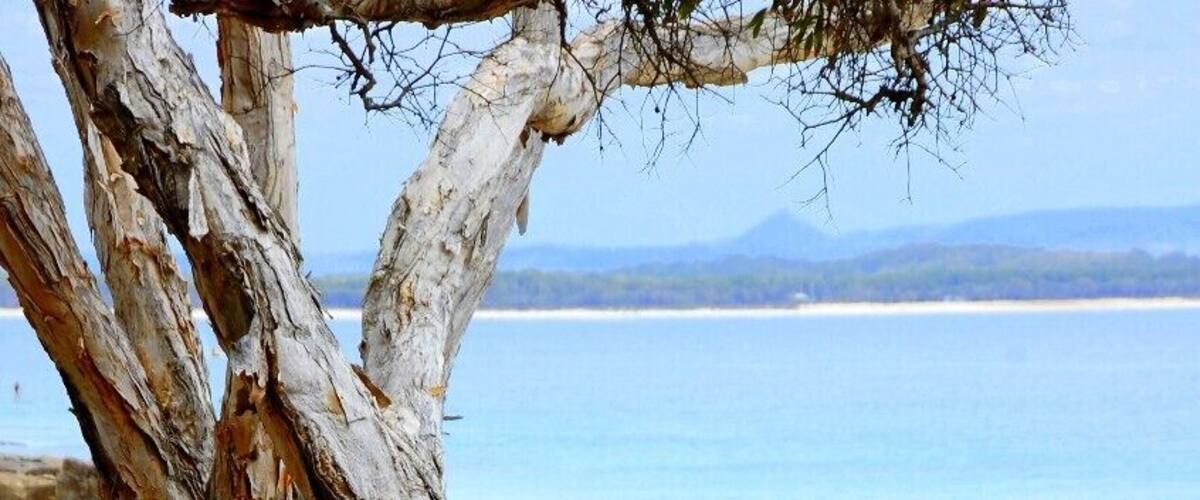 A morning walk on the coastal track in Noosa. #beach
