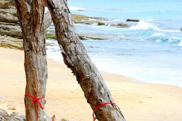 A morning walk on the coastal track in Noosa. #beach