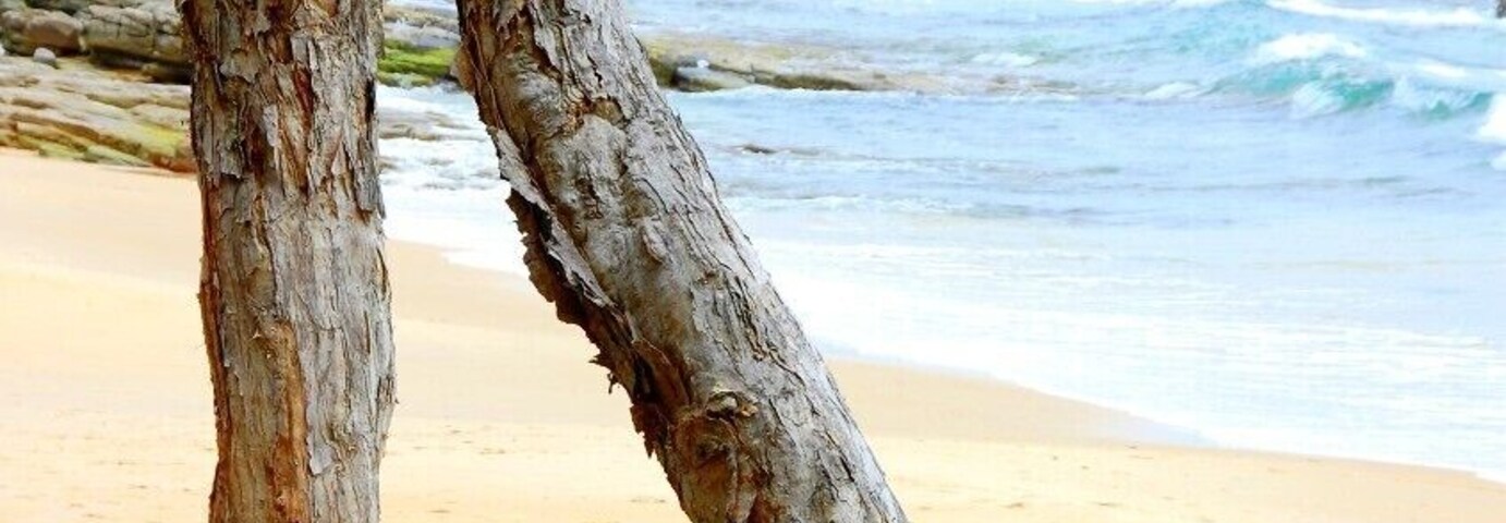 A morning walk on the coastal track in Noosa. #beach