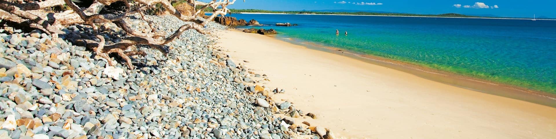 Noosa Heads presenterar tropisk natur och en sandstrand