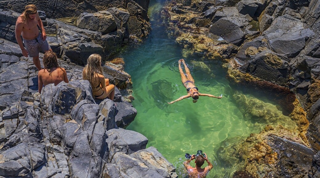 Noosa National Park hosts a treasure trove of magical spots on the coastline. I hiked almost through to Hell's Gates to find this gem. :)