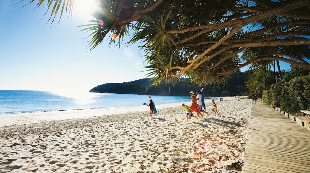 Noosa Heads showing a beach and tropical scenes as well as a family