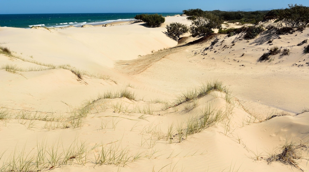 Sand dunes and Surf beach on South Stradbroke Island in Queensla